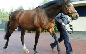 Galileo has fathered the next generation of stallions