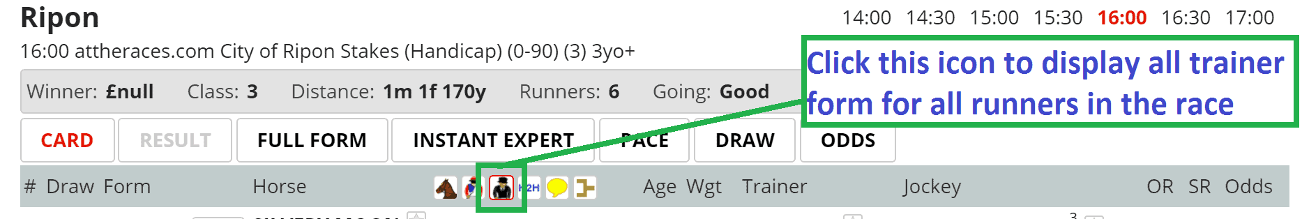 View all trainer form in a race by clicking this icon
