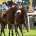 Front runners are strongly favoured over Chester's five furlong course, amongst others Pic Steve Davies/ Racingfotos.com