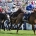 Oaks and Derby trends preview