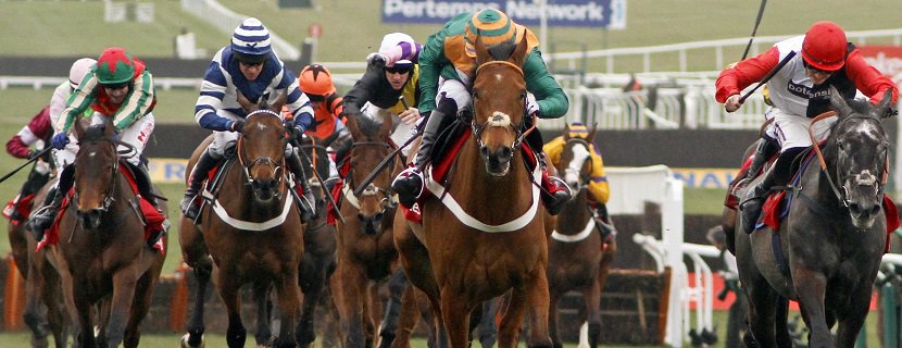COLE HARDEN (centre, Gavin Sheehan) beats SAPHIR DU RHEU (right) in The Ladbrokes World Hurdle after wind surgery. Cheltenham 12 Mar 2015 - Pic Steven Cargill / Racingfotos.com