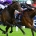 EPSOM 31-5-19. Investec Oaks. ANAPURNA and Frankie Dettori (far side) beats PINK DOGWOOD (Ryan Moore) for trainer John Gosden. Photo Healy Racing / Racingfotos.com