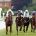 Beverley Racecourse has a very stiff uphill finish - Pic Steven Cargill / Racingfotos.com