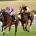 TIMOSHENKO ridden by Luke Morris beating Seinesational (near) in The Unibet Goodwood Handicap Stakes at Glorious Goodwood 31/7/19 Photo Ian Headington / Racingfotos.com