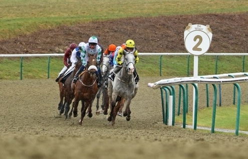 Dave Renham: A synopsis of 6f and 7f AW Draw/Pace