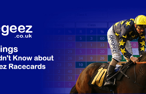 10 Things You Didn't Know About Geegeez Racecards
