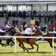 PORTH SWTAN (Jason Hart) beats RASELASAD (2nd right) and HAYADH (5) in The racingtv.com Handicap Musselburgh 2 Apr 2019 - Pic Steven Cargill / Racingfotos.com"