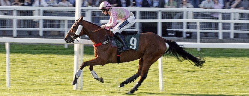 MAGIC DANCER (Richard Patrick) wins The Cheltenham Pony Racing Authority Graduates Handicap Hurdle Cheltenham 18 Apr 2018 - Pic Steven Cargill / Racingfotos.com