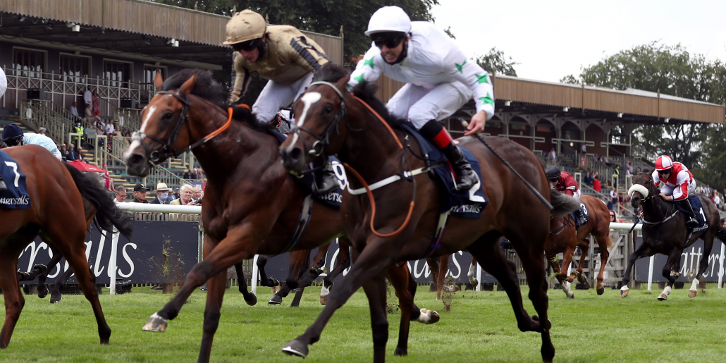 Alan King Eyeing Perfect Power Rematch With Asymmetric Geegeez co uk