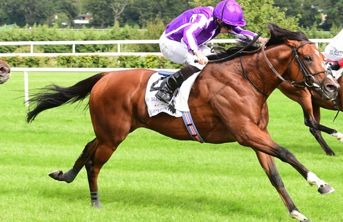 Jockey Profiles: Ryan Moore