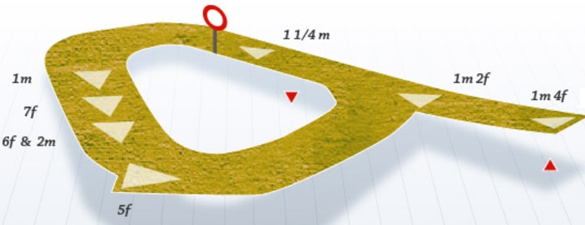 Lingfield All Weather Pace / Run Style Bias