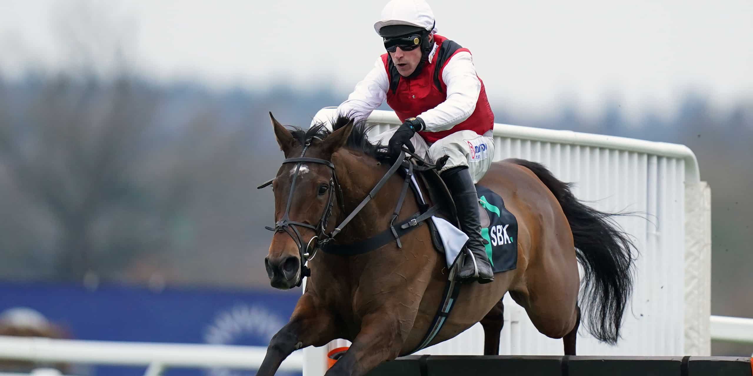 Decision To Stick With Plan A Pays Off With Molly Ollys Wishes 