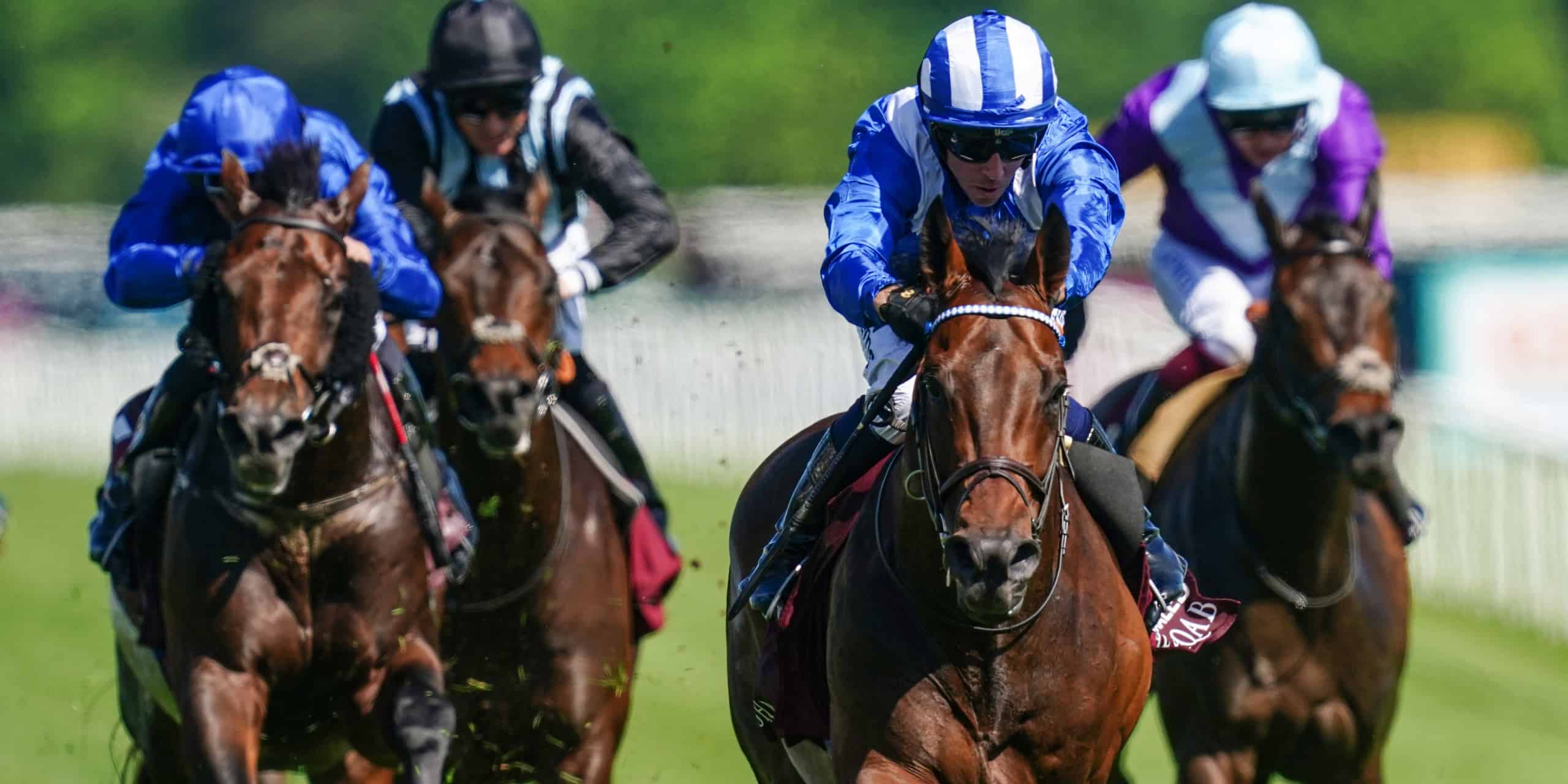 Real World Could Yet Face Royal Ascot Rematch With Baaeed Geegeez co uk