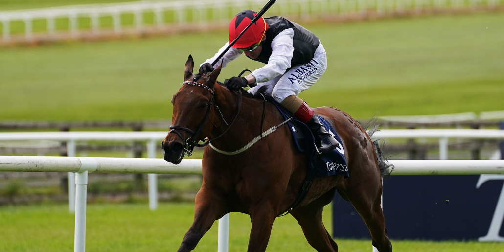 Songs And Saffron Set For Sun Chariot Rematch Geegeez co uk