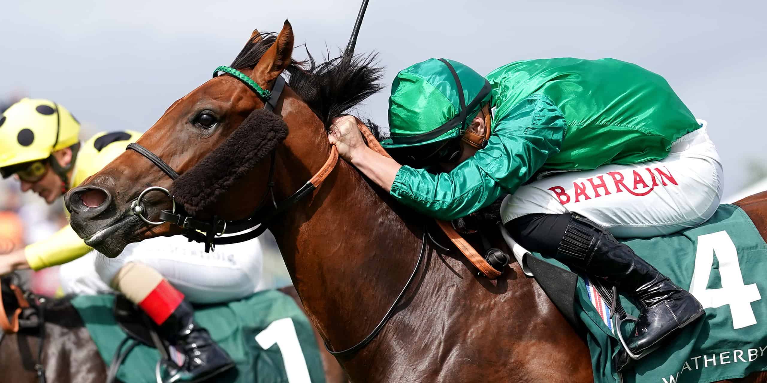 Alpha Capture Pips Stablemate To Win Rockingham Geegeez co uk