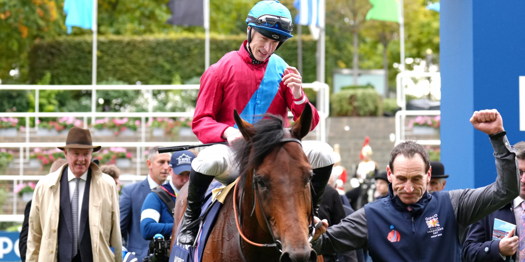 No Plans Yet For Bay Bridge But Breeders Cup Could Form Part Of 