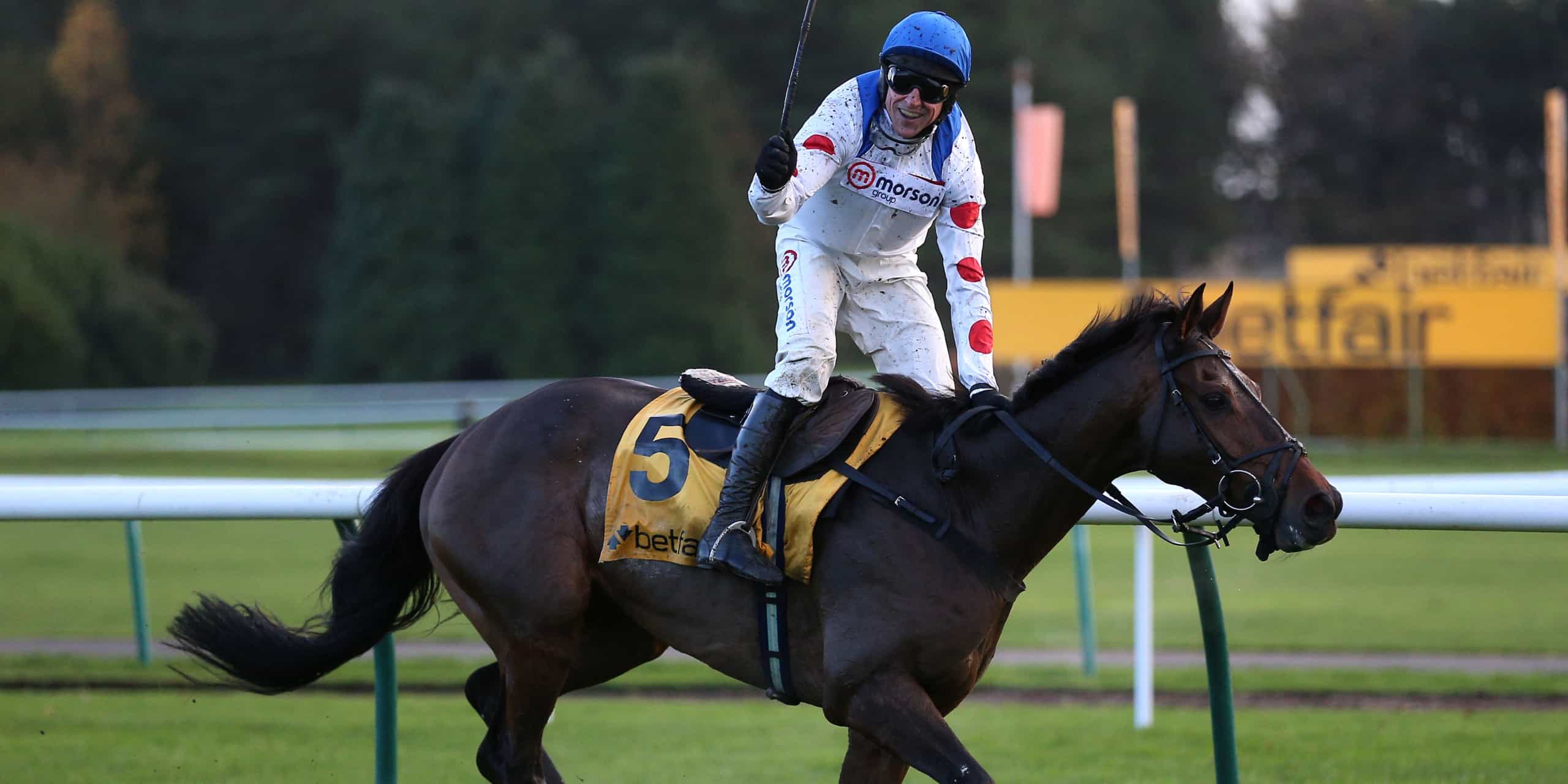 Protektorat Stars With Comfortable Betfair Chase Verdict Geegeez co uk