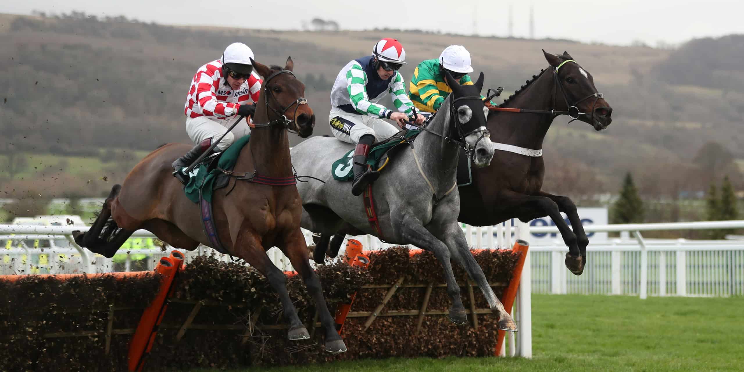 Stolen Silver Tops December Gold Cup Field Geegeez co uk