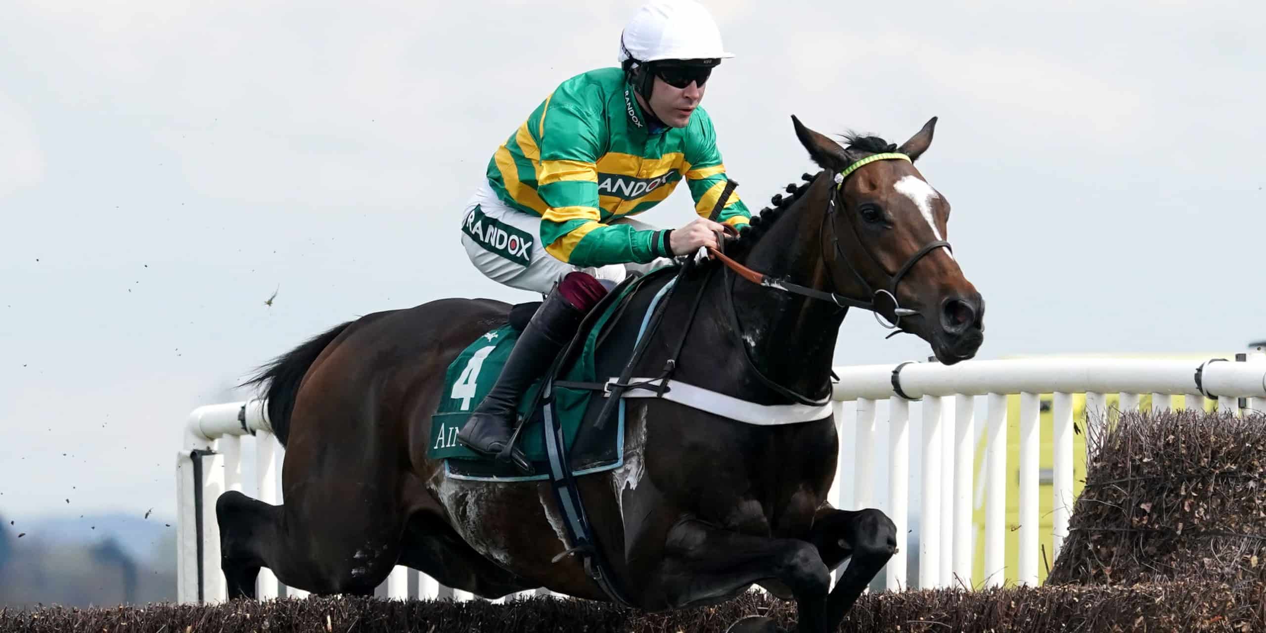Jonbon enjoys Maghull stroll at Aintree