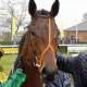 DAPPER VALLEY (Pat Dobbs) was another 2yo winner for Richard Hannon, Newbury 21 Apr 2023 - Pic Steven Cargill / Racingfotos.com