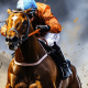 The Theory of In-Running Betting on horseracing