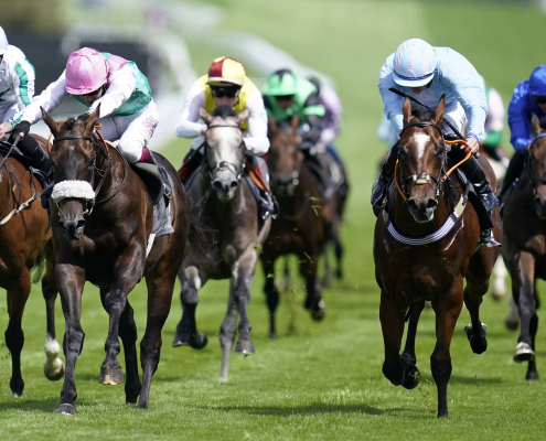 Does Gelding Improve Racehorse Performance?