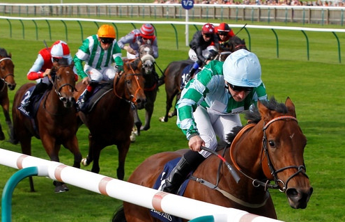 Is Recent Trainer Form Important?