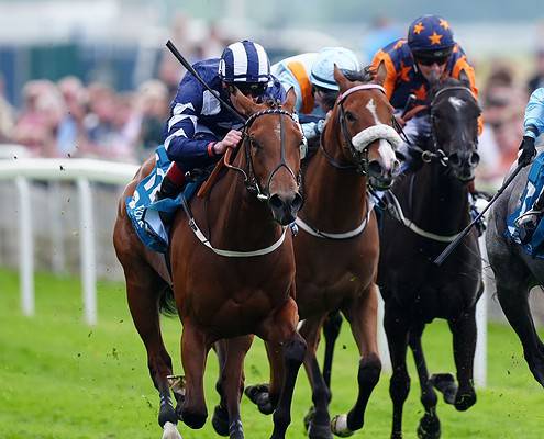 A Comparison of Trifecta and Tricast Payouts in Horse Racing: Part Two