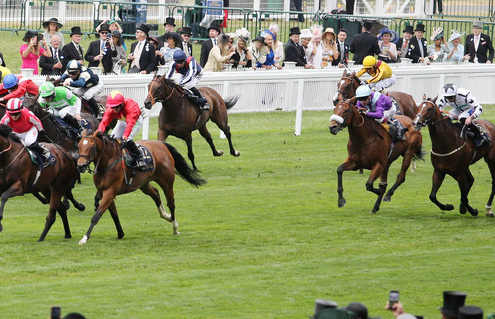 A Comparison of Trifecta and Tricast Payouts in Horse Racing