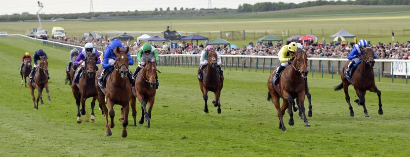 04.05.2024, Newmarket, Notable Speech with William Buick up wins the Qipco 2000 Guineas Stakes at Rowley Mile racecourse, GB. City Of Troy (2nd left) well beaten in 9th. Photo GALOPPFOTO/Racingfotos.com