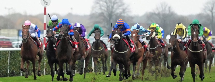 Leading on left with royal blue cap is LORD MELBOURNE with Jack Doughty 1st in Virgin Bet November Handicap Stakes at Doncaster 9-11-24. Photo by Martin Lynch /racingfotos.com