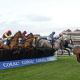 KANDOO KID (centre, Harry Cobden) with the field over the first fence in The Coral Gold Cup Newbury 30 Nov 2024 - Pic Steven Cargill / Racingfotos.com