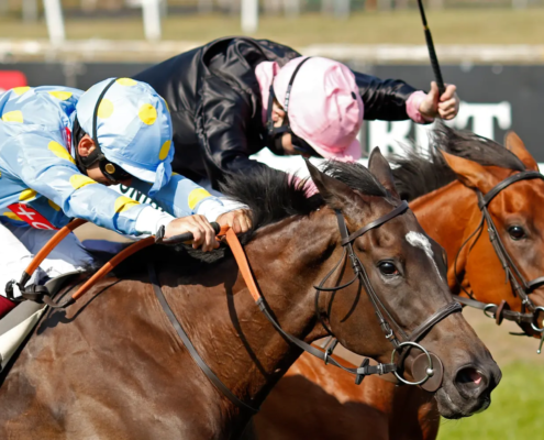 An Analysis of Geegeez Pace Ratings in 5f handicaps