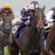 NIGHT PATROL (John Fahy) beats MASKED WARRIOR (right) in The Metro Rod Pump Technology Partnership EBF Novice Stakes Newbury 20 Sep 2025 - Pic Steven Cargill / Racingfotos.com