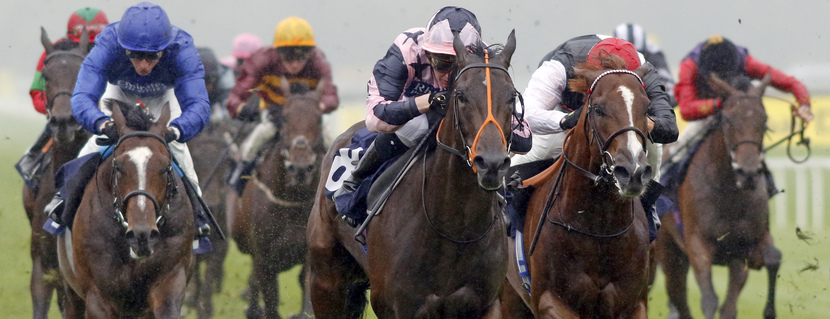 NIGHT PATROL (John Fahy) beats MASKED WARRIOR (right) in The Metro Rod Pump Technology Partnership EBF Novice Stakes Newbury 20 Sep 2025 - Pic Steven Cargill / Racingfotos.com