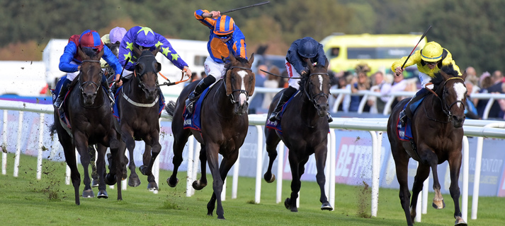 Blue and orange stripe cap is SCANDINAVIA with Tom Marquand 1st from right RAHIEBB 2nd in Betfred St Leger Sakes at Doncaster 13-9-25. Photo by Martin Lynch / racingfotos.com