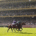 DARYZ (farside, Mickael Barzalona) beats MINNIE HAUK (nearside) in The Qatar Prix de l'Arc Triomphe Longchamp 5 Oct 2025 - Pic Steven Cargill / Racingfotos.com