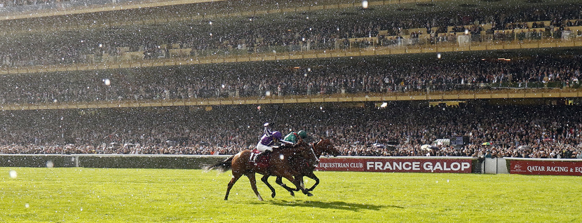 DARYZ (farside, Mickael Barzalona) beats MINNIE HAUK (nearside) in The Qatar Prix de l'Arc Triomphe Longchamp 5 Oct 2025 - Pic Steven Cargill / Racingfotos.com