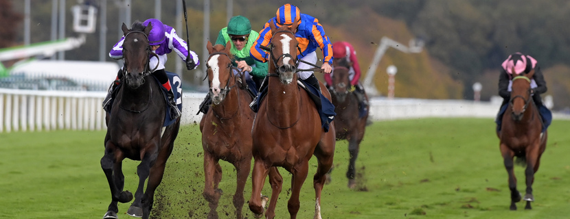 Left is HAWK MOUNTAIN with R P Whelan 1st from stripe cap ACTION 2nd and green cap BENVENUTO CELLINI 3rd in William Hill Futurity Trophy Stakes at Doncaster 25-10-25. Photo by Martin Lynch / racingfotos.com