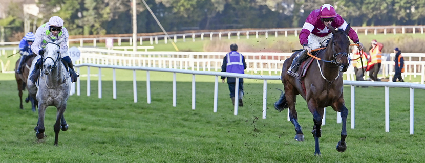 01.02.2026, Leopardstown, Brighterdaysahead with Jack Kennedy up wins the Irish Champion Hurdle at Leopardstown racecourse, IRL. Photo GALOPPFOTO/Racingfotos.com