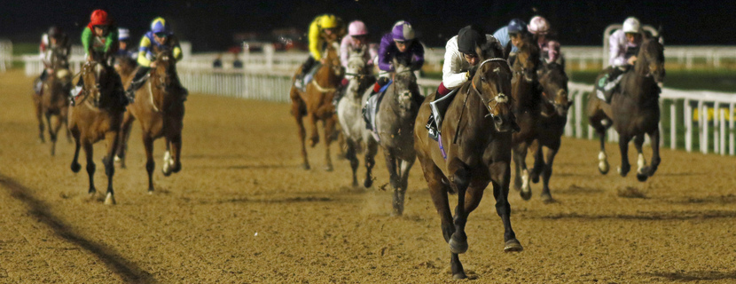 CONSTITUTION HILL (Oisin Murphy) wins The SBK Novice Stakes Southwell 20 Feb 2026 - Pic Steven Cargill / Racingfotos.com