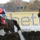 Coquelicot (tongue tied) and Aidan Coleman win the Goffs Tingle Creek Sale Mares' Handicap Hurdle in the Geegeez colours at Sandown. 3/12/2022 Pic Steve Davies/Racingfotos.com