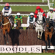 GAELIC WARRIOR (right. Paul Townend) wins The Boodles Cheltenham Gold Cup, with THE JUKEBOX MAN (left) and GREY DAWNING (centre) Cheltenham 13 Mar 2026 - Pic Steven Cargill / Racingfotos.com