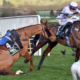 11.03.2025, Cheltenham, Champion Hurdle winner Golden Ace with Lorcan Williams up passes the fallen State Man at Cheltenham racecourse, GB. Photo GALOPPFOTO/Racingfotos.com