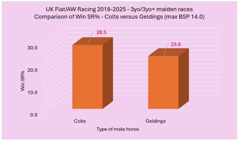 3D bar chart comparing Win SR% in UK Flat/AW maiden races (2018–2025): Colts 28.5%, Geldings 23.6%; bars labeled Colts and Geldings with percentage values.