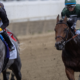 Grey horse with blue noseband leads a crowded dirt-track horse race, jockeys in colorful silks sprinting toward the finish line on a packed track.