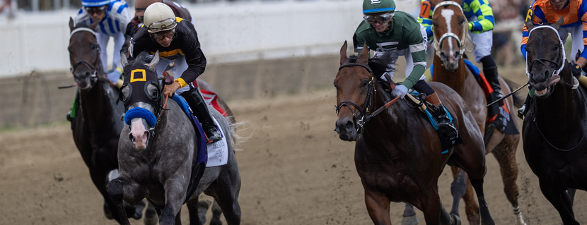 Grey horse with blue noseband leads a crowded dirt-track horse race, jockeys in colorful silks sprinting toward the finish line on a packed track.