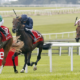 BENVENUTO CELLINI (Ryan Moore) beats CHRISTMAS DAY and PIERRE BONNARD in the Dubai Duty Free Irish Derby The Curragh 28 Jun 2026 - Pic Steven Cargill / Racingfotos.com