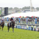 Horses with jockeys sprint along a grass racecourse as spectators watch from the rails in a busy festival setting.