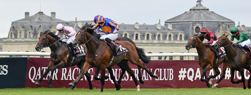 Group of jockeys racing on thoroughbreds on a grassy track, colorful silks, with race banners in the background.
